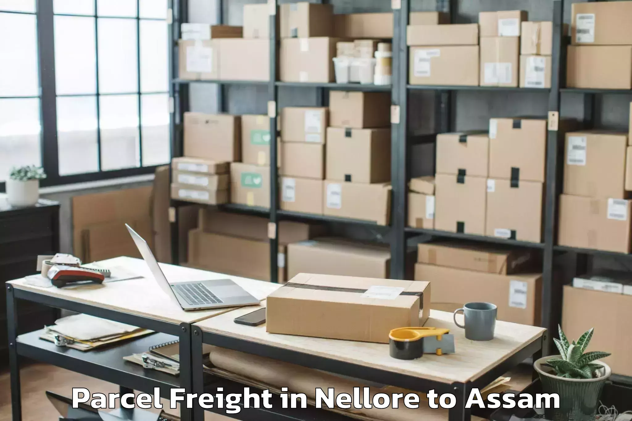 Top Nellore to Nazira Parcel Freight Available